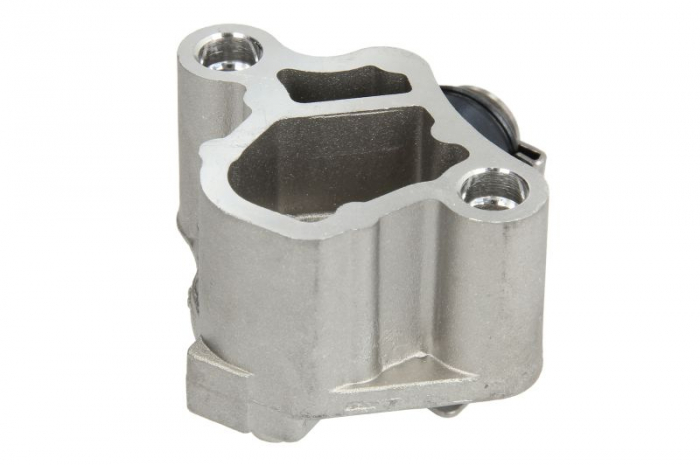 Intinzator lant distributie potrivit AUDI A1, A3, A4 B8, A4 B9, A5, A6 C7, A7, A8 D4, Q3, Q5, TT; SEAT ALHAMBRA, ALTEA, ALTEA XL, EXEO, EXEO ST, LEON; SKODA KODIAQ, OCTAVIA II, SUPERB II 1.8-2.0H 09.0 [2]