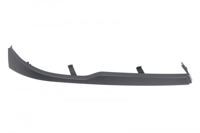 Ornament far dreapta BMW Seria 3 intre 2001-2006 [1]