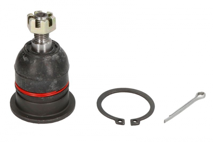 Pivot axa Dreapta/Stanga (superior fata) (diametru con 13,5mm) potrivit HONDA ACCORD IV, ACCORD V, ACCORD VI, ACCORD VII, CIVIC II, CIVIC IV, CIVIC V, CIVIC VI, CR-V I 1.2-3.0 10.87-05.08 [1]