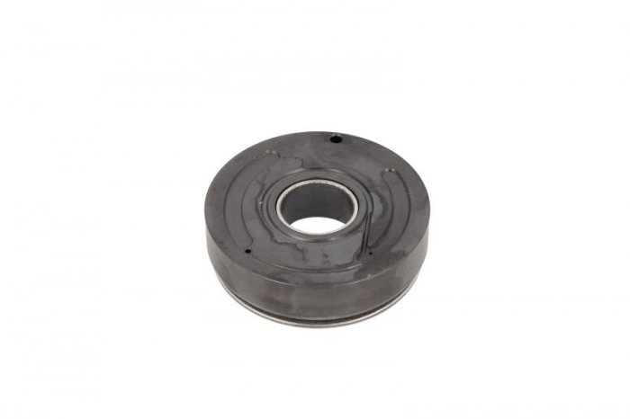 Pompa combustibil suplimentara repair kit (sistem DV4; DW10B; DW10TD; K9K EU4) [2]