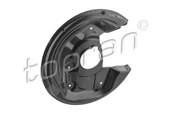 Protectie stropire disc frana Spate Dreapta diametru 253mm potrivit VW BEETLE, EOS, JETTA IV, SCIROCCO III 1.2-3.6 03.06- [1]