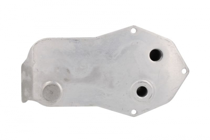 Radiator ulei termoflot (with thermostat) potrivit BMW Seria 1 (E81), 1 (E82), 1 (E87), 1 (E88), 3 (E90), 3 (E91), 3 (E92), 3 (E93), X1 (E84), Z4 (E89); SSANGYONG ACTYON I 1.6-3.0 12.04- [2]