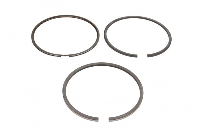Segment piston (set) (100mm (STD) 2,5-3,5-3,5) 1004-4; 1004-40T; 1004-40TN; 1004-40TW; 1006-6; 1006-60T; 1006-6T potrivit URSUS 3000; CASE IH MX; CATERPILLAR M; CLAAS RANGER 1004-4-A6.3544 [1]