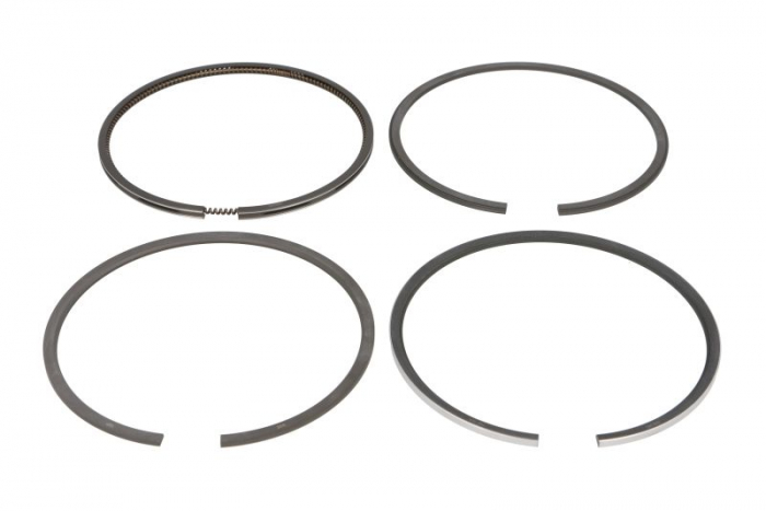 Segment piston (set) (100mm (STD) 3-2-2-4) potrivit DEUTZ potrivit FENDT 200, 600, F; RENAULT 1000, 300, 400, 50, 80, 800, 900, R, XX-12, XX-14 D225-6-D327-3 [1]