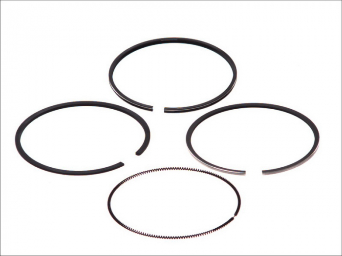 Segment piston (set) (104mm (STD) 3-2,5-4) potrivit IVECO potrivit IVECO M, ZETA; FIAT 140-XX, 85-XX, F, L; FIATAGRI 100, 80, F; NEW HOLLAND L, TD5, XXX.90 8040.25.200-8065.25.080 [1]