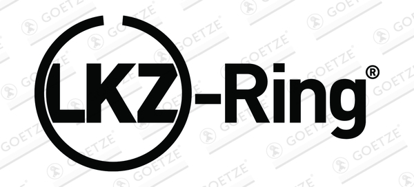 Segment piston (set) (130mm (STD) 2,5-3,5-3,5) potrivit DAF CF, XF 106, XF II, XG, XG+; IRIZAR I3, I4, I6, I8; VAN HOOL EX, TX MX-13303-MX340 05.10- [3]