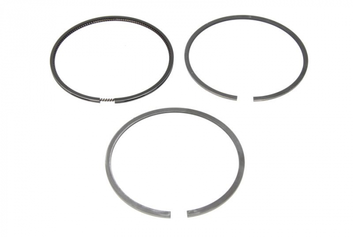 Segment piston (set) (97mm (STD) 2,5-2,5-4 setat pentru 1 piston) potrivit MERCEDES OM314 [1]