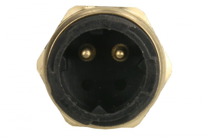 Senzor temperatura lichid racire (numar pini: 2, wrench size: 27mm) potrivit MAN E2000, EL, EM, F2000, F90, FOC, HOCL, L2000, LION´S CITY, LION´S COACH, LION´S REGIO D0824FL01-E2876LUH02 04.81- [2]
