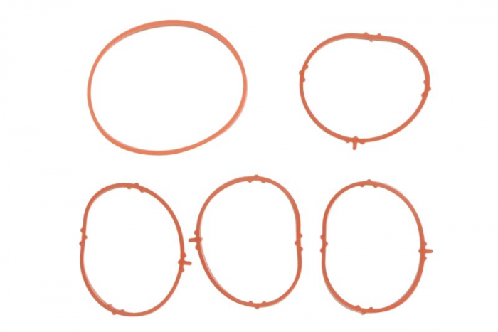 Set garnituri, galerie admisie potrivit ABARTH 500 / 595 / 695, 500C / 595C / 695C, GRANDE PUNTO, PUNTO, PUNTO EVO; ALFA ROMEO GIULIETTA, GIULIETTA/HATCHBACK, MITO; DODGE DART 1.4/1.4CNG/1.4LPG 05.07- [1]