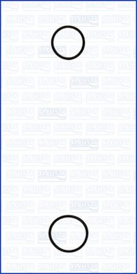 Set garnituri, galerie admisie potrivit DACIA DUSTER, LOGAN, LOGAN EXPRESS, LOGAN II, LOGAN MCV, LOGAN MCV II, SANDERO, SANDERO II; NISSAN KUBISTAR, MICRA III, NOTE, QASHQAI I, TIIDA 1.5D 06.01- [1]