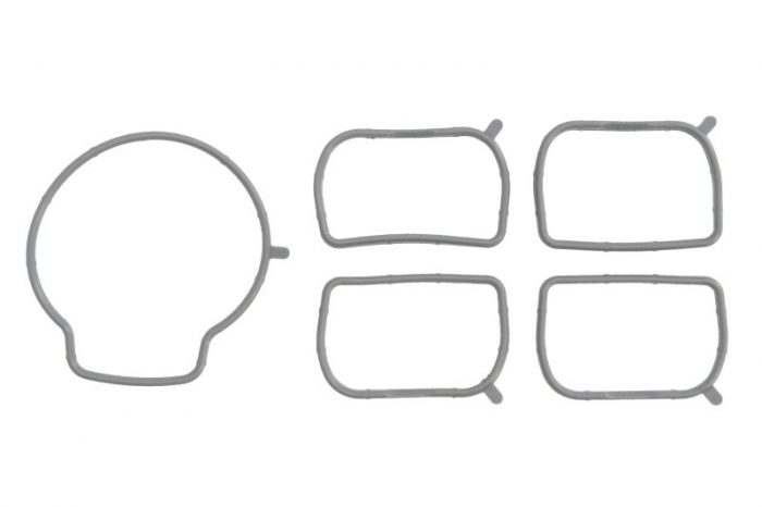 Set garnituri, galerie admisie potrivit HYUNDAI GRANDEUR, IX35, SANTA FÉ II, SONATA V, SONATA VI; KIA CERATO II, CERATO III, MAGENTIS II, OPTIMA, SORENTO II, SORENTO II/SUV 2.0/2.4/2.4LPG 01.05- [1]