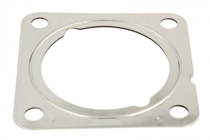 Set Garnituri, Sistem de esapament potrivit VW BEETLE, GOLF V, GOLF VI, JETTA III, JETTA IV, PASSAT B7 2.5 01.06- [1]
