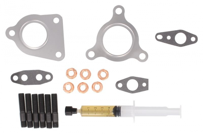 Set montaj turbocompresor (cu garnituri) potrivit NISSAN QASHQAI I; RENAULT ESPACE IV, LAGUNA, LAGUNA III, MEGANE II, VEL SATIS 2.0D 08.05- [1]