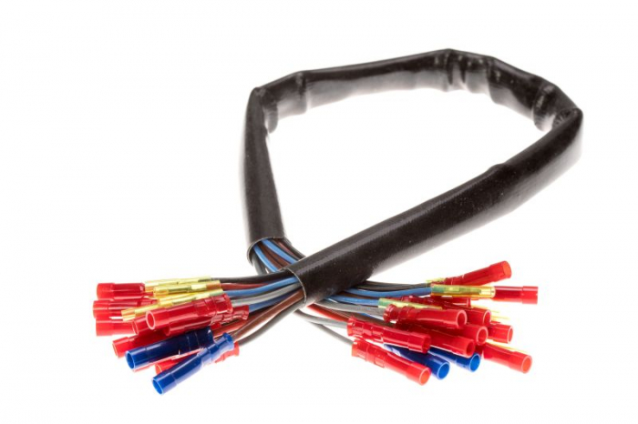 Set reparatie cabluri pentru usa din fata (500mm, numar pini: 21, fara acoperire, Stanga) potrivit VW TRANSPORTER T4 1.8-2.8 07.90-06.03 [2]