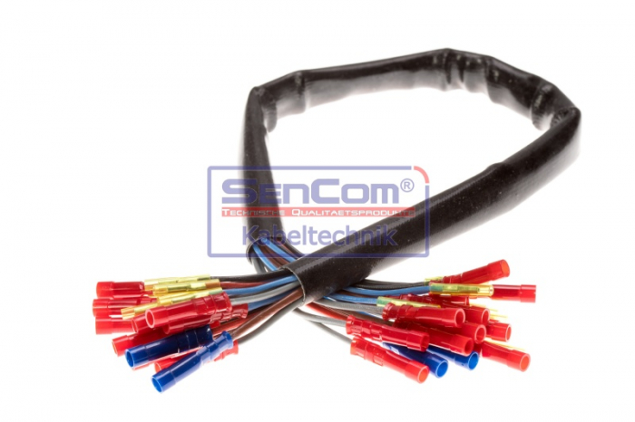 Set reparatie cabluri pentru usa din fata (500mm, numar pini: 21, fara acoperire, Stanga) potrivit VW TRANSPORTER T4 1.8-2.8 07.90-06.03 [3]
