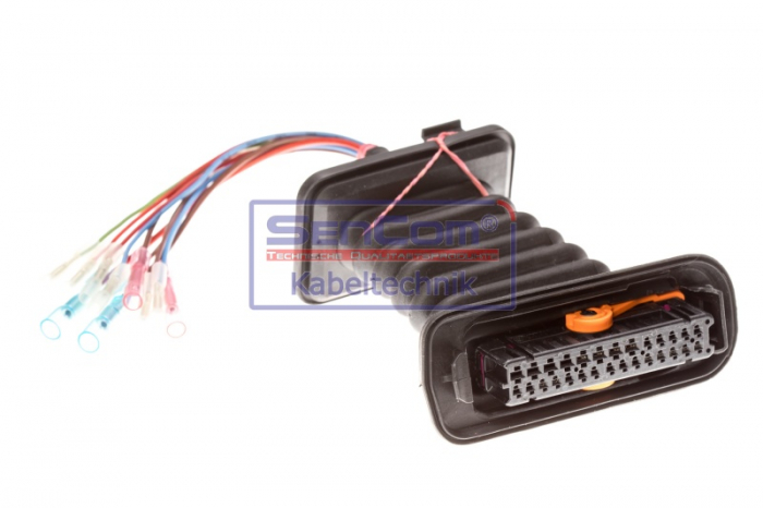 Set reparatie cabluri pentru usa fata / spate (250mm, numar pini: 11, cu capac; cu conector, Dreapta/Stanga) potrivit VW BEETLE, GOLF V 1.2-3.2 10.03-07.19 [3]