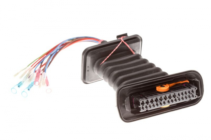 Set reparatie cabluri pentru usa fata / spate (250mm, numar pini: 11, cu capac; cu conector, Dreapta/Stanga) potrivit VW BEETLE, GOLF V 1.2-3.2 10.03-07.19 [2]