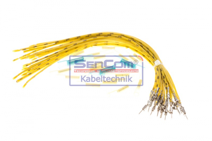 Set reparatie cabluri usa (200mm, numar pini: 21, cu capac, Dreapta/Stanga) potrivit FORD GALAXY I; SEAT ALHAMBRA; VW SHARAN 1.8-2.8 03.95-03.10 [2]