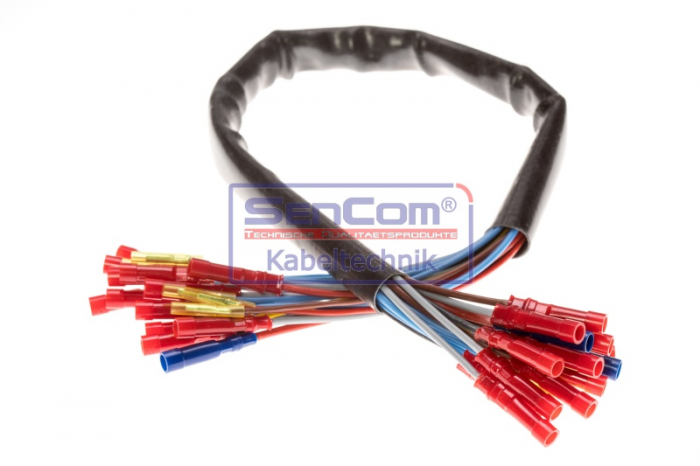 Set reparatie cabluri usa (500mm, numar pini: 18, fara acoperire, Dreapta) potrivit VW TRANSPORTER T4 1.8-2.8 07.90-06.03 [2]