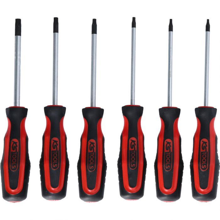 Set surubelnite ERGOTORQUEplus 6 piese torx [2]