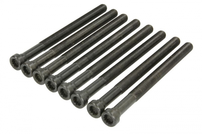Set suruburi chiulasa potrivit AUDI A4 ALLROAD B8, A4 B6, A4 B7, A4 B8, A5, A6 ALLROAD C6, A6 C5, A6 C6, A8 D3, ALLROAD C5, Q5, Q7; PORSCHE CAYENNE; SKODA SUPERB I 2.5D/2.7D/3.0D 02.00-03.18 [1]