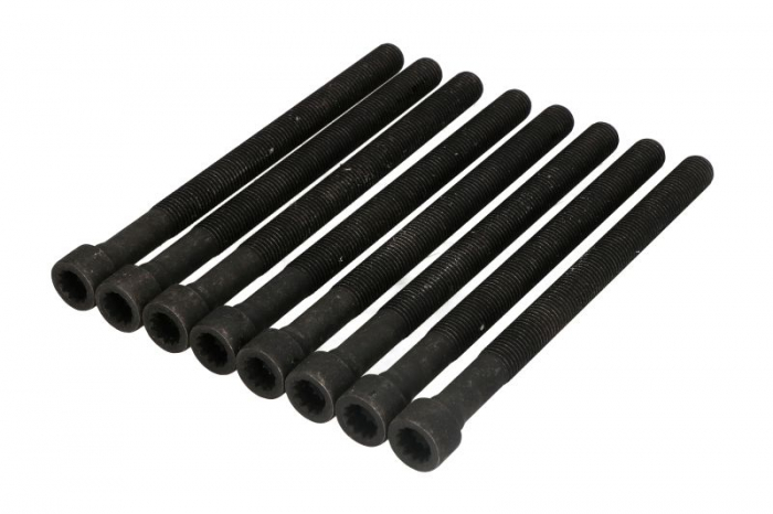 Set suruburi chiulasa potrivit AUDI A4 B5, A4 B6, A6 C5, A8 D2, ALLROAD C5; SKODA SUPERB I; VW PASSAT B5, PASSAT B5.5 2.5D 01.97-12.05 [1]