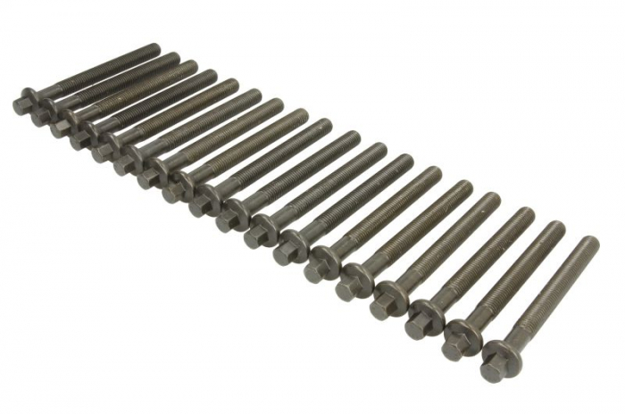 Set suruburi chiulasa potrivit CHRYSLER GRAND VOYAGER III, RAM, VOYAGER III, VOYAGER IV; DODGE NITRO, RAM; JEEP CHEROKEE; LDV MAXUS 2.5D/2.8D 01.95-12.12 [1]