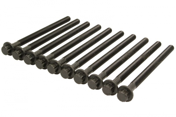 Set suruburi chiulasa potrivit HYUNDAI ACCENT III, ELANTRA IV, ELANTRA V, GETZ, I20 I, I30, IX20, IX35, MATRIX; KIA CARENS III, CEE'D, CERATO I, PRO CEE'D, RIO II, RIO III, SOUL I 1.4D-1.7D 12.04- [1]