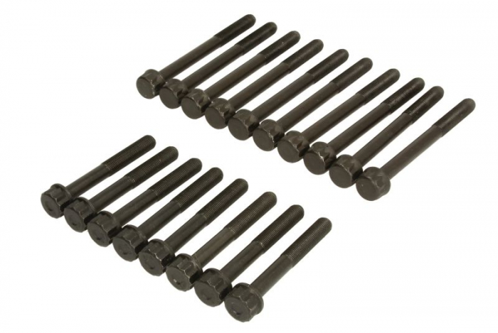 Set suruburi chiulasa potrivit HYUNDAI TERRACAN; KIA CARNIVAL I, CARNIVAL II 2.9D 08.99-12.06 [1]