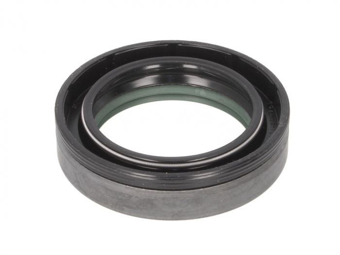 Simering diferential (46x65x15,7mm) potrivit CASE IH 248, 258, 268, 288, 385, 485 XL, 585, 685, 695, 695 XL, 743, 743 XL, 745, 745 S, 785, 795, 795 XL, 844 XL, 845 XL, 856 XL, 885, 885 XL, 895, 895 XL [2]