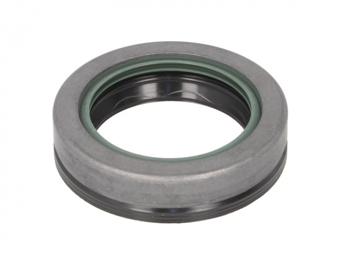 Simering diferential (46x65x15,7mm) potrivit CASE IH 248, 258, 268, 288, 385, 485 XL, 585, 685, 695, 695 XL, 743, 743 XL, 745, 745 S, 785, 795, 795 XL, 844 XL, 845 XL, 856 XL, 885, 885 XL, 895, 895 XL [1]