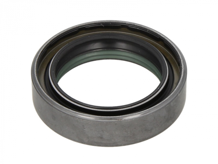 Simering diferential (46x65x16,1mm) potrivit CASE IH 248, 258, 268, 288, 385, 485 XL, 585, 685, 695, 695 XL, 743, 743 XL, 745, 745 S, 785, 795, 795 XL, 844 XL, 845 XL, 856 XL, 885, 885 XL, 895, 895 XL [2]