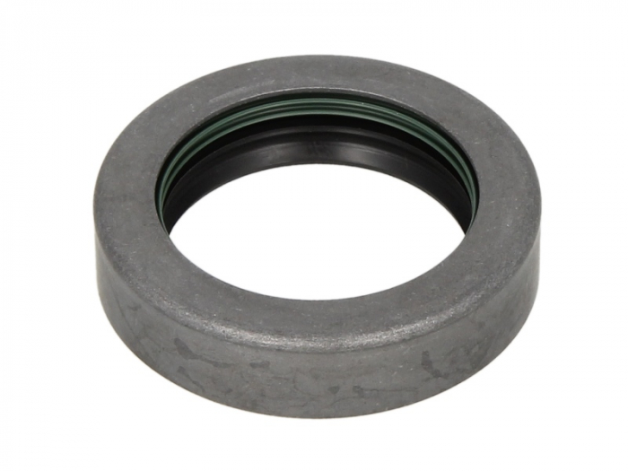 Simering diferential (46x65x16,1mm) potrivit CASE IH 248, 258, 268, 288, 385, 485 XL, 585, 685, 695, 695 XL, 743, 743 XL, 745, 745 S, 785, 795, 795 XL, 844 XL, 845 XL, 856 XL, 885, 885 XL, 895, 895 XL [1]