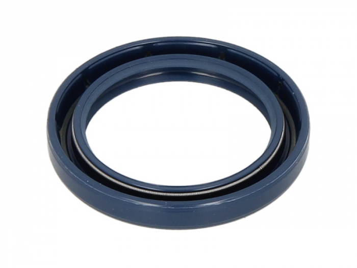 Simering ulei arbore cotit (40x55/55x7) potrivit CARRARO; DANA; GOLDONI; LANDINI; MASSEY FERGUSON; NEW HOLLAND [2]