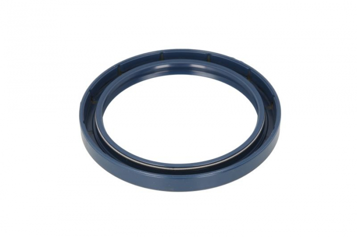 Simering ulei arbore cotit (95x120/120x12) potrivit LANDINI; MASSEY FERGUSON; MERLO [2]