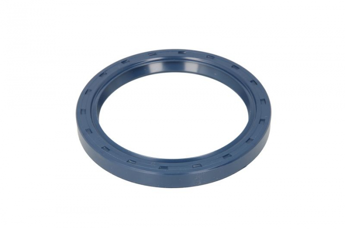 Simering ulei arbore cotit (95x120/120x12) potrivit LANDINI; MASSEY FERGUSON; MERLO [1]