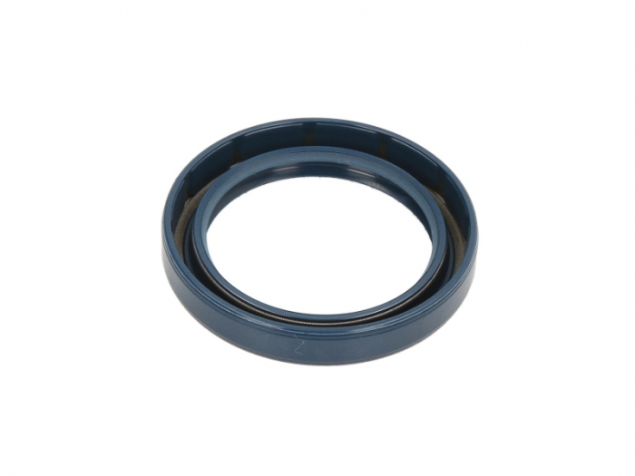 Simering ulei arbore cotit Spate (48x65/65x10) potrivit MERCEDES LK/LN2, MK, NG; CITROEN 2 CV A79/1(AYA2)-OM904.907 01.70-12.98 [2]