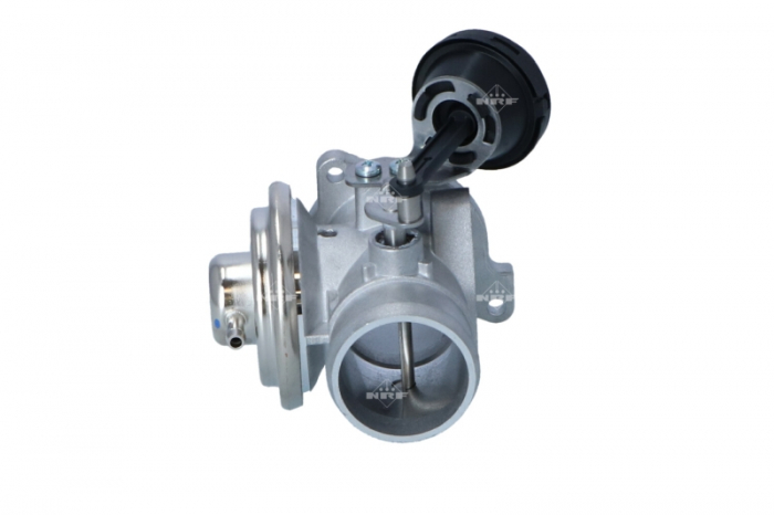 Supapa EGR potrivit AUDI A4 B5, A4 B6, A6 C5; FORD GALAXY I, GALAXY MK I; SEAT ALHAMBRA; SKODA SUPERB I; VW GOLF IV, PASSAT B5, PASSAT B5.5, SHARAN 1.9D 03.95-03.10 [4]
