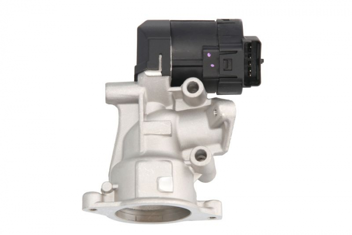 Supapa EGR potrivit CITROEN C4 GRAND PICASSO I, C4 I, C4 PICASSO I, C5 II, C5 III, C8, JUMPY; FIAT SCUDO, ULYSSE; FORD C-MAX II, FOCUS II, FOCUS III, GALAXY II, KUGA I 1.6D-2.7D 08.00- [2]