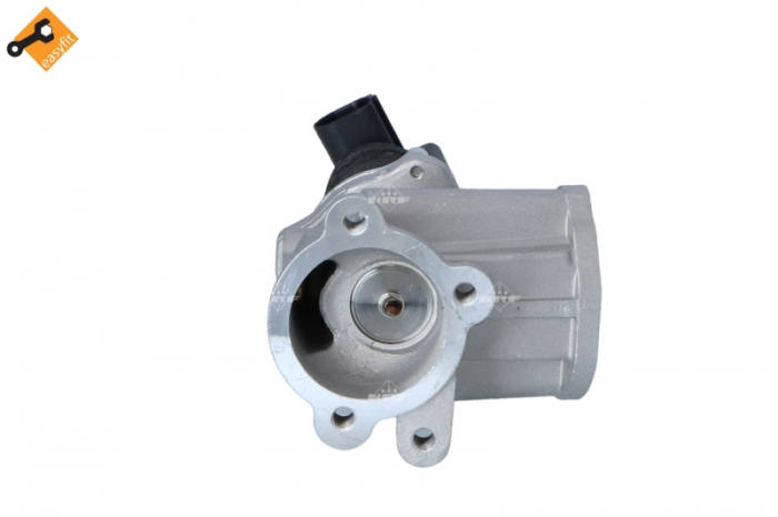Supapa EGR potrivit FIAT 500, 500 C, DOBLO, DOBLO/MINIVAN, FIORINO/MINIVAN, GRANDE PUNTO, IDEA, PALIO, PANDA, PUNTO, PUNTO EVO, QUBO; LANCIA MUSA, YPSILON; OPEL AGILA, COMBO TOUR 1.3D 06.03- [4]