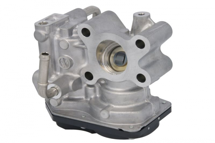 Supapa EGR potrivit NISSAN JUKE, PULSAR, QASHQAI II, X-TRAIL III 1.6 06.10- [3]