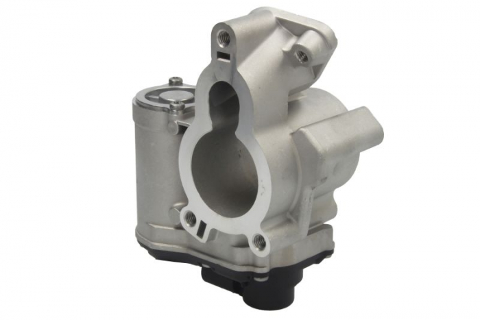 Supapa EGR potrivit NISSAN PRIMASTAR, QASHQAI I, X-TRAIL, X-TRAIL II; OPEL VIVARO A; RENAULT ESPACE IV, GRAND SCENIC II, KOLEOS I, LAGUNA, LAGUNA II, LAGUNA III, MASTER III, MEGANE II 2.0D/2.3D 08.05- [6]