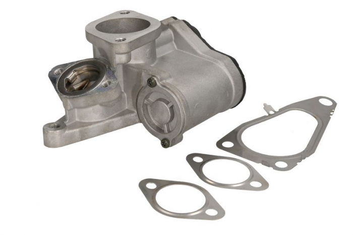 Supapa EGR potrivit RENAULT GRAND SCENIC II, LAGUNA II, MEGANE II, SCENIC II; SUZUKI GRAND VITARA II 1.9D 11.02- [1]