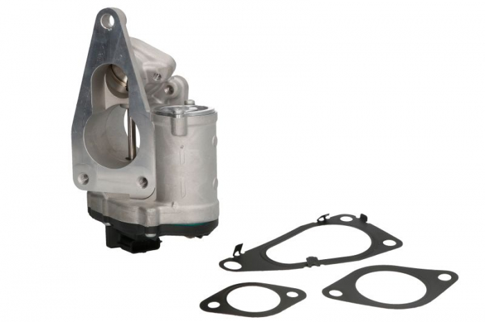 Supapa EGR potrivit RENAULT LAGUNA II, MEGANE II, SCENIC II; SUZUKI GRAND VITARA II 1.9D 01.05- [1]