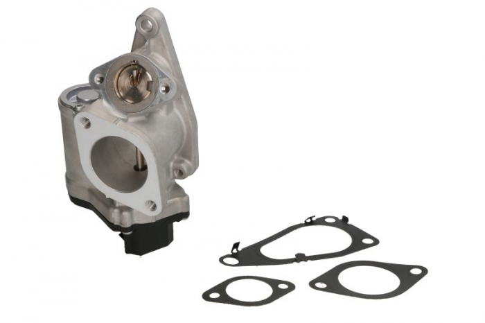 Supapa EGR potrivit RENAULT LAGUNA II, MEGANE II, SCENIC II; SUZUKI GRAND VITARA II 1.9D 01.05- [2]