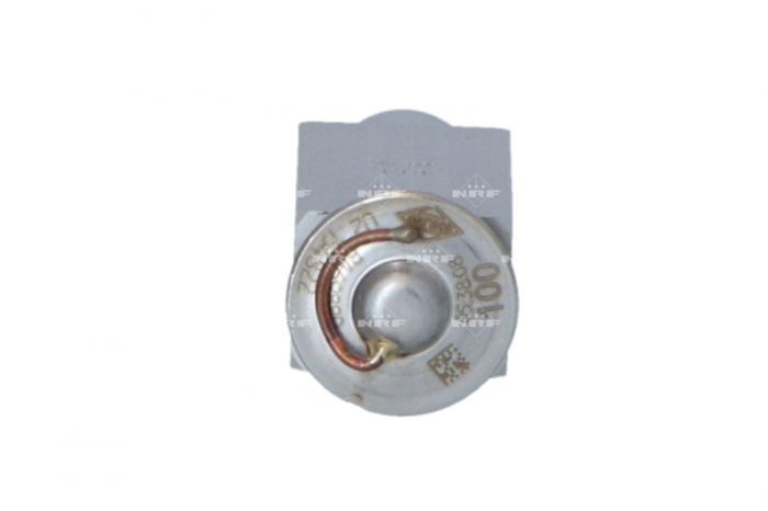 Supapa expansiune clima Ford / Seat / VW 86-90 Escort IV / Escorta V / VI 90 - / Fiesta III, 89-95 / Galaxy I, 95-00 / Galaxy II 00 - [5]