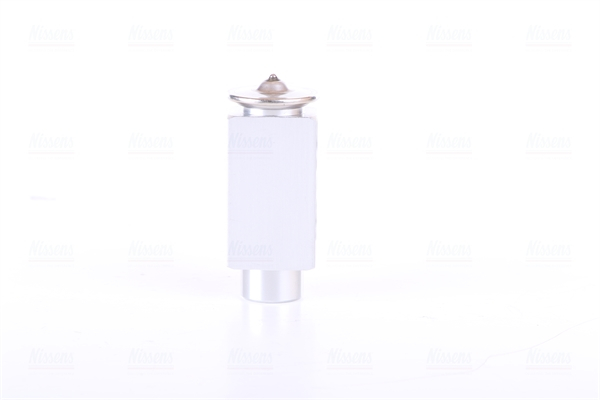 Supapa expansiune clima potrivit CITROEN AX, BERLINGO, BERLINGO/MINIVAN, EVASION, JUMPY, XM, ZX; FIAT SCUDO, ULYSSE; LANCIA ZETA; OPEL ASTRA F, ASTRA F CLASSIC, CALIBRA A, TIGRA 1.0-9.2D 07.86- [1]