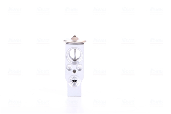 Supapa expansiune clima potrivit CITROEN XSARA PICASSO; FIAT DUCATO; OPEL VECTRA B; PEUGEOT 206, 206+ 1.1-2.8D 09.95- [2]