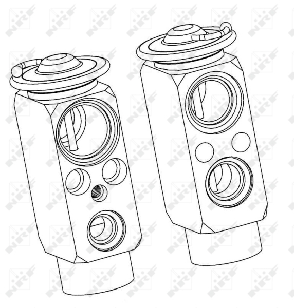 Supapa expansiune clima potrivit MAN F2000, F90, F90 UNTERFLUR, M 2000 M, M90; VOLVO FL6, FS7 D0826F01-TD63ES 09.85- [3]