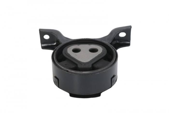 Suport diferential spate potrivit TOYOTA RAV 4 II 2.0D 05.01-11.05 [1]